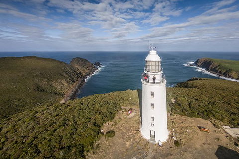 Bruny Island Day Tour, Includes Lunch And Exclusive Lighthouse Tour - Accommodation Australia 0
