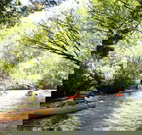Paddle with the Platypus Twilight Kayak Adventure - Accommodation Australia