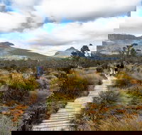 Cradle Mountain Day Tour - Australia Shopping