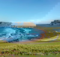 Cruise Ship Special from Burnie to Stanley and The Nut - Local Tourism