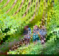 Tasmanian Wine Tour - Accommodation Australia