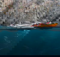 Tasman Peninsula full day kayaking tour - Accommodation Australia