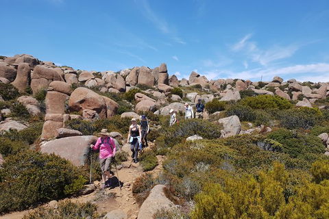Alpine Loop - Accommodation Australia 2