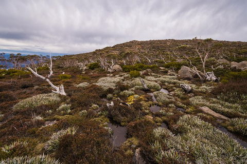 Alpine Loop - Accommodation Australia 0