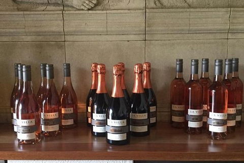 Cruise Ship Excursion: Gourmet Food & Wine - Local Tourism 16