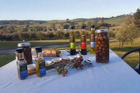 Cruise Ship Excursion: Gourmet Food & Wine - Local Tourism 17