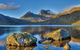 Cradle Mountain Private Charter Service - thumb 1