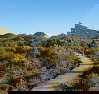 Hartz Mountains premium private photo-oriented day tour from Hobart - Accommodation Australia