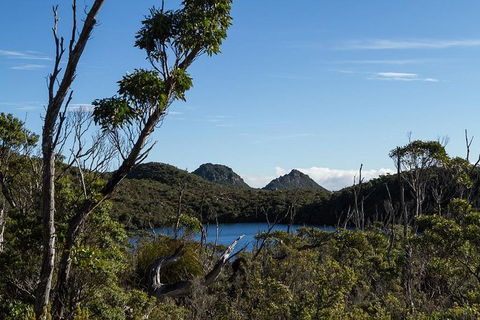 Hartz Mountains Premium Private Photo-oriented Day Tour From Hobart - Accommodation Australia 1