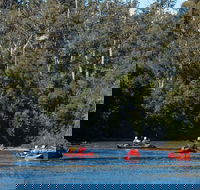 Twin Rivers Adventure - Accommodation Australia