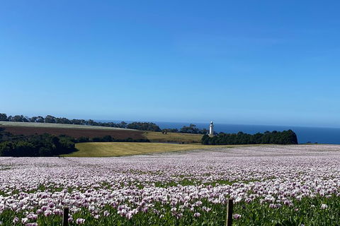 Table Cape Lighthouse Tours - Local Tourism 8