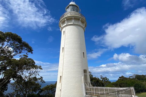Table Cape Lighthouse Tours - Local Tourism 4