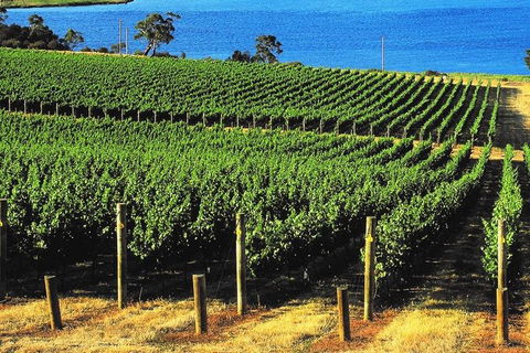 Hobart Afternoon Wine Tour Saturday: Local Wines + Cheese & Guide - Accommodation Australia 3