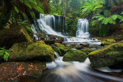 Mount Field Private Charter Service - Accommodation Australia 3