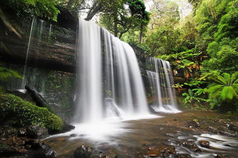 Mount Field Private Charter Service - Accommodation Australia 1