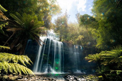 Mount Field Private Charter Service - Accommodation Australia 2