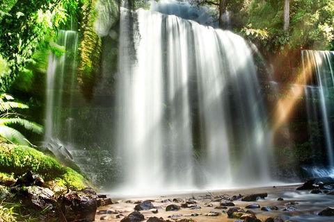 Mount Field Private Charter Service - Accommodation Australia 0