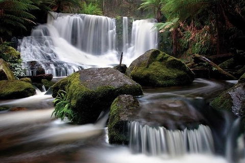 Highlights Of Tasmania Premium Small Group 7 Days Touring Package - Accommodation Australia 7