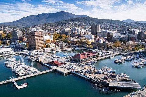 Highlights Of Tasmania Premium Small Group 7 Days Touring Package - Accommodation Australia 11