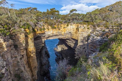 Highlights Of Tasmania Premium Small Group 7 Days Touring Package - Accommodation Australia 10