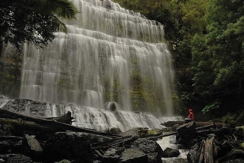 Highlights Of Tasmania Premium Small Group 7 Days Touring Package - Accommodation Australia 13