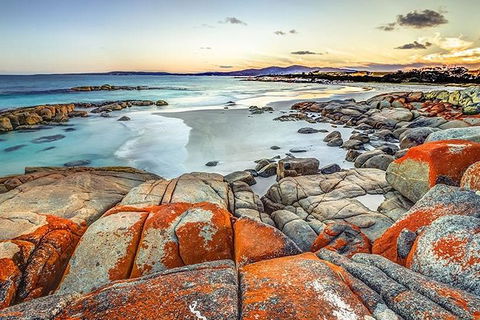 Highlights Of Tasmania Premium Small Group 7 Days Touring Package - Accommodation Australia 12