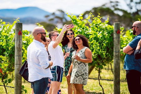 Hobart: Highlights Of Tasmanian Wine Full Day Tour - Accommodation Australia 3