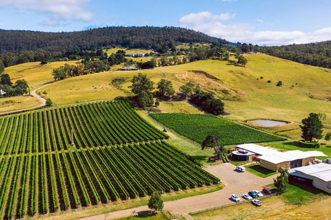 Hobart: Highlights Of Tasmanian Wine Full Day Tour - Accommodation Australia 4