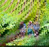 Hobart Highlights of Tasmanian Wine Full Day Tour - Accommodation Australia