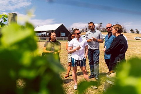 Hobart: Highlights Of Tasmanian Wine Full Day Tour - Accommodation Australia 2