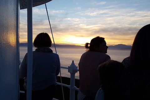 2.5-Hour Sunset At Cape Bruny Lighthouse Tour - Accommodation Australia 1