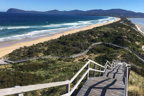 4-Day Fabulous Tasmania Tour: Wineglass Bay, Port Arthur, Devils & Bruny Island - Accommodation Australia 3