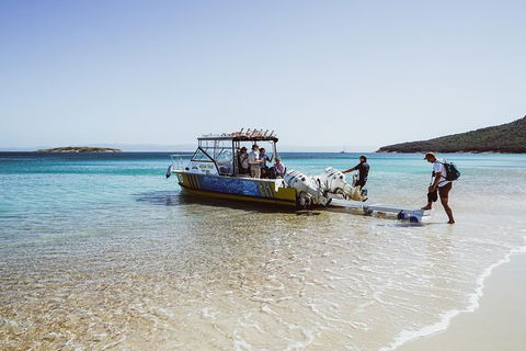 Sea & Explore Wineglass Bay & Freycinet National Park - Cruise & Walk - Local Tourism 3