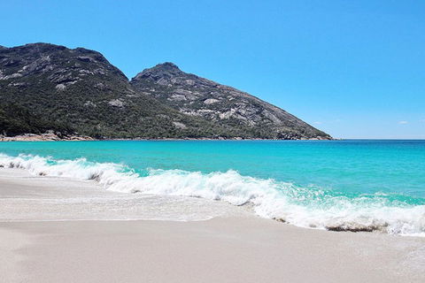 Sea & Explore Wineglass Bay & Freycinet National Park - Cruise & Walk - Local Tourism 4