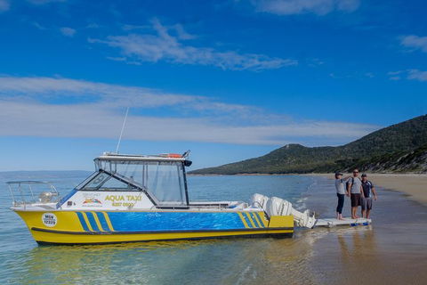 Sea & Explore Wineglass Bay & Freycinet National Park - Cruise & Walk - Local Tourism 7