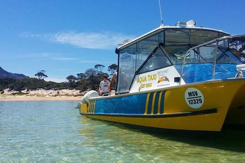 Sea & Explore Wineglass Bay & Freycinet National Park - Cruise & Walk - Local Tourism 1