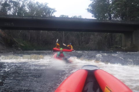 Twin Rivers Winter Adventure - Local Tourism 4