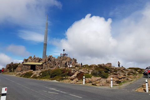 Mt. Wellington Morning Hike + Afternoon Beer & History Walk - Accommodation Australia 21