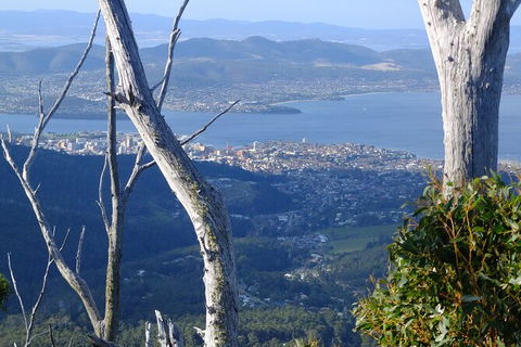 Mt. Wellington Morning Hike + Afternoon Beer & History Walk - Accommodation Australia 10