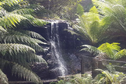 Mt. Wellington Morning Hike + Afternoon Beer & History Walk - Accommodation Australia 16