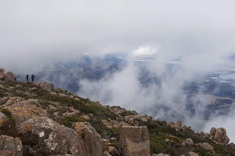 Mt. Wellington Morning Hike + Afternoon Beer & History Walk - Accommodation Australia 18