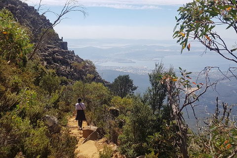 Mt. Wellington Morning Hike + Afternoon Beer & History Walk - Accommodation Australia 1