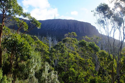 Mt. Wellington Morning Hike + Afternoon Beer & History Walk - Accommodation Australia 4