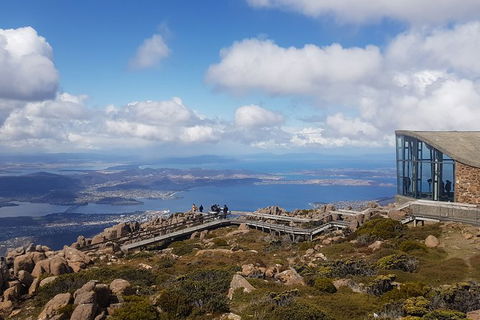 Mt. Wellington Morning Hike + Afternoon Beer & History Walk - Accommodation Australia 3