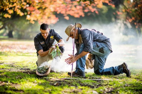Aboriginal Heritage Walk - Royal Botanic Gardens Victoria, Melbourne Gardens - Accommodation Australia 0