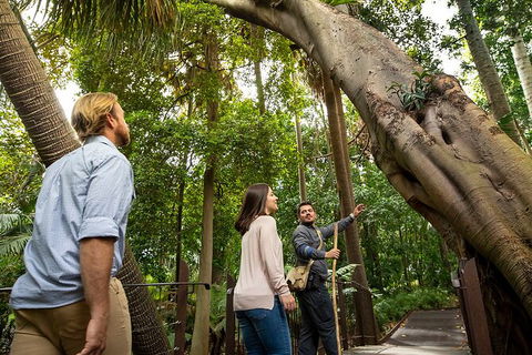 Aboriginal Heritage Walk - Royal Botanic Gardens Victoria, Melbourne Gardens - Accommodation Australia 1