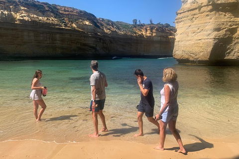 The Ultimate Surfing & Great Ocean Road Experience - 1.5 Days - Local Tourism 1