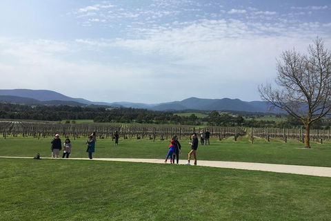 Yarra Valley Wine Tasting Tour - Accommodation Australia 2