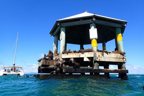 Sailing Cruise With Seals - Accommodation Australia 1