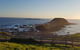 Phillip Island Private Experience - thumb 11